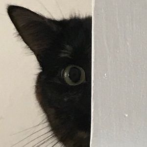 Meet your Posher, Allyson